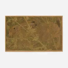 Frightened Jack Rabbit Hiding by Janet Turner, 1968, embossed linocut and screenprint in colors, sold Dec 2025