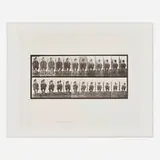 Eadweard Muybridge, Plate 742 (from the Animal Locomotion series), 1887, vintage collotype