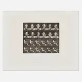 Eadweard Muybridge, Plate 545 (from the Animal Locomotion series), 1887, vintage collotype