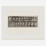 Eadweard Muybridge, Plate 646 (from the Animal Locomotion series), 1887, vintage collotype