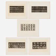 Eadweard Muybridge, Plate 180; Plate 325; Plate 458; Plate 707; Plate 748 (five works from the Animal Locomotion series), 1887, vintage collotype