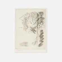 Georg Baselitz, Untitled (from the Bäume series), 1974, etching with drypoint