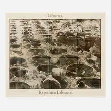Justin Matherly, We came more and more to feel that, [...], 2010, inkjet monoprint transfer on paper