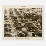 Justin Matherly, We came more and more to feel that, [...], 2010, inkjet monoprint transfer on paper