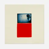 Ann Hamilton, Blue Victory