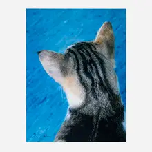 Roni Horn, Untitled (Kitty Cat), c. 2000, offset lithograph in colors