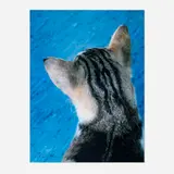 Roni Horn, Untitled (Kitty Cat)