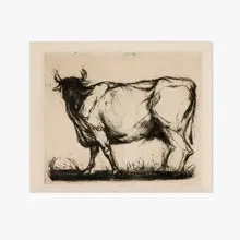 Richard Serra, Bull, 1962, etching, aquatint and drypoint