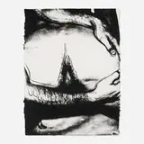 Untitled II (from the Sex Parts series) by Andy Warhol, 1978, screenprint on HMP wove, sold Dec 2024