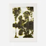 April Gornik, Light and Trees, 1998, etching in colors