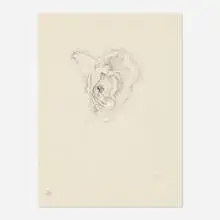 Dora Maar, Flower study, ink on paper