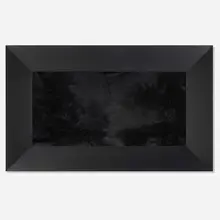 Tony Tasset, Domestic Abstraction, 1986, fur and wood in artist's frame