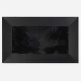 Tony Tasset, Domestic Abstraction, 1986, fur and wood in artist's frame