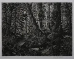 Mark Leithauser, The Northern Shore, Etching