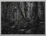 Mark Leithauser, The Northern Shore, Etching