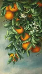 Ellen Burpee Farr, Orange Tree, Oil on canvas