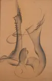 Jean Louis Chauvin, Untitled, Charcoal