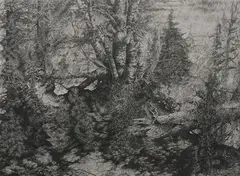 Mark Leithauser, Birches, Etching