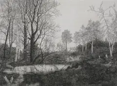 Mark Leithauser, Downriver Plant, Etching