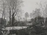Mark Leithauser, Downriver Plant, Etching
