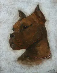 Gerald, Boxer, Oil on panel