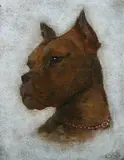 Gerald, Boxer, Oil on panel
