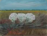 Eugene Gardner, Wild Water Bush Blossoms, Pastel