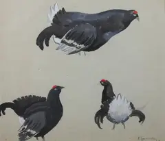 Aleksei Stepanov, Study of Grouse, Gouache