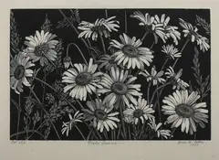 Grace Arnold Albee, Field Daisies, Wood engraving