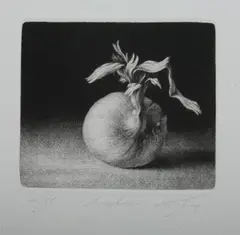 Konstantin Chmutin, ONION BULB, numbered 41/55 and inscribed illegibly in pencil lower margin, Mezzotint