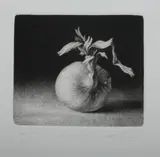 Konstantin Chmutin, ONION BULB, numbered 41/55 and inscribed illegibly in pencil lower margin, Mezzotint