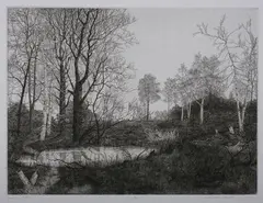 Mark Leithauser, Down River Plant, Etching