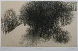 Peter Milton, Trees and Snow Ii