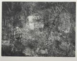 Tom Edwards, Night Garden, Etching