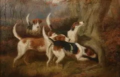 Edward Algernon Stuart Douglas, Gone to Ground, Oil on canvas
