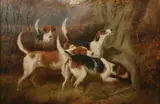 Edward Algernon Stuart Douglas, Gone to Ground, Oil on canvas
