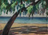 Charles S. Kaelin, Shoreline