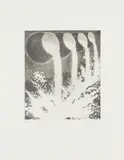 Tony Cragg, Die erste Ära, 1991, Radierung auf Hahnemühle (Wasserzeichen)