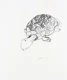 Stephan Balkenhol, Schildkröte, 1994, Lithografie auf Velin