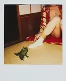 Nobuyoshi Araki, Aus: Polanographs