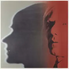 The Shadow by Andy Warhol, 1981, Unique screenprint in colors, on Lenox Museum Board, the full sheet,, sold Nov 2019