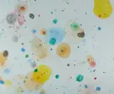 Jiří Georg Dokoupil, Ohne Titel