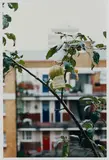 Wolfgang Tillmans, Please leave this one, 2003, C-Print