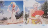 Stefanie Schneider, Miss Moneypenny with Beach Ball/Big Girls don't Cry, 2016, 2 C-Prints
