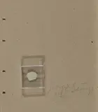 Fingernagelabdruck aus gehärteter Butter by Joseph Beuys, 1971, Butter&Wachs in Plastikkästchen, montiert auf grauer, perforierter Pappe., sold Nov 2019