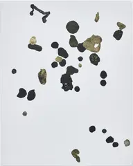 Adam McEwen, Untitled, 2008, mixed media on canvas