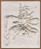 David Altmejd, The Mare and the Path, 2014, plaster, burlap, MDF, polystyrene, expandable foam and latex paint, in artist's frame