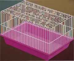 Dan Hays, Harmony in Pink, 1997, oil on canvas