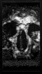 Charles Sandison, Pallida mors aequo pulsat pede pauperum tabernas regumque turris, 2008, LCD panel, computer and computer code