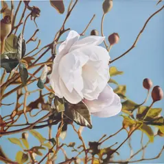 Mustafa Hulusi, Winter Rose, 2006, oil on canvas